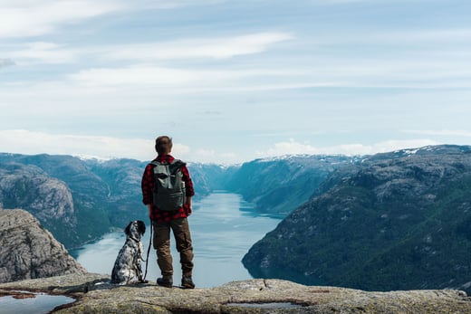 Proposal Management Lessons Learned Inspired by Game of Thrones