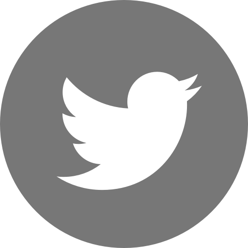 icone-twitter-ronde-grise
