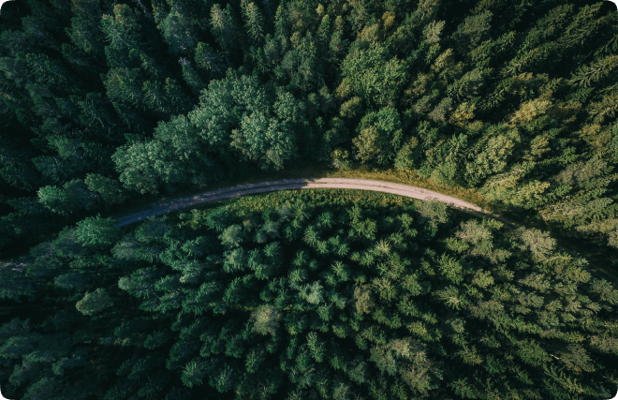 Nature from drone