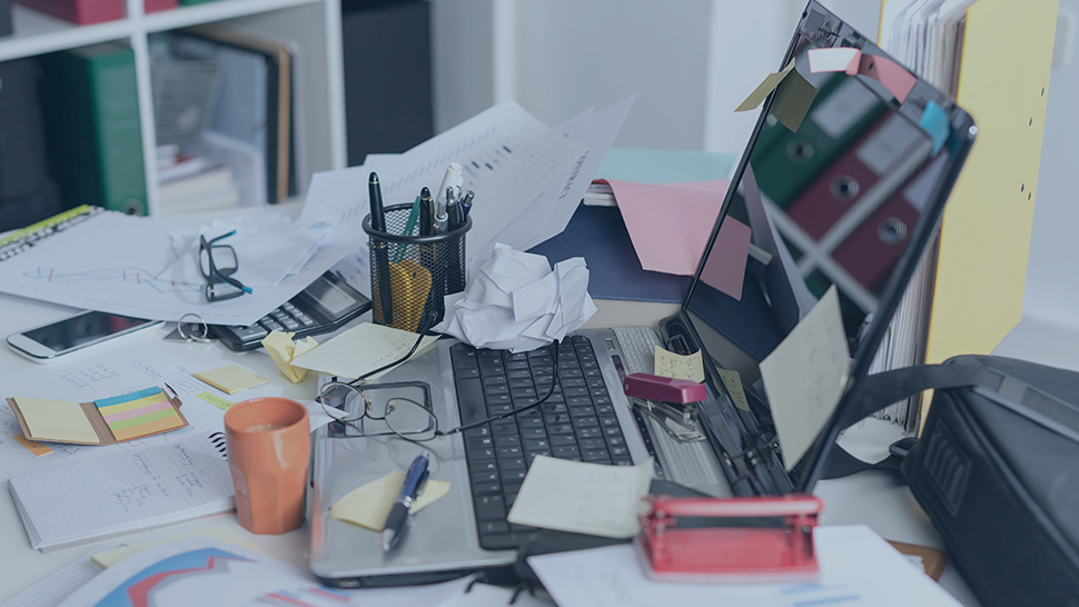 Do you need document collaboration software?