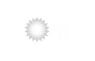 bp-logo